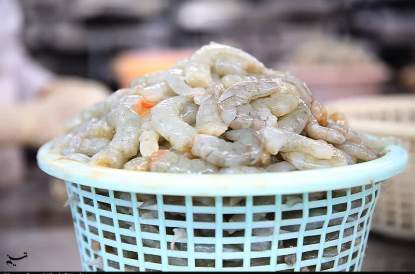 صادرات سالانه شیلات به 700 میلیون دلار رسید